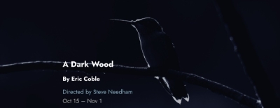 Tin Drum Theatre's A DARK WOOD - Greenhouse Theater Center - Through November 1st
