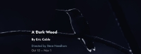Chicago Premiere of Tin Drum Theatre's A DARK WOOD to be performed at Greenhouse Theater Center, Oct 15 - Nov 1