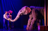 The Art of Awe: Water for Elephants Balances Spectacle and Soul