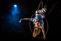 We're All Mad Here – Alice at Lookingglass
