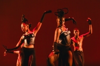 Chicago Black Dance Legacy Project Gala: Radiant & Sumptuous at the Harris